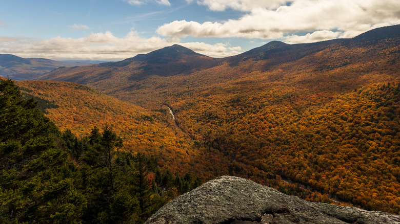 Forested mountains Grafton Notch State Park in Maine