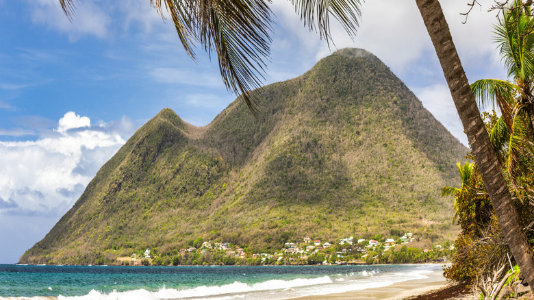 Mountains, palm trees, and beach on Martinique