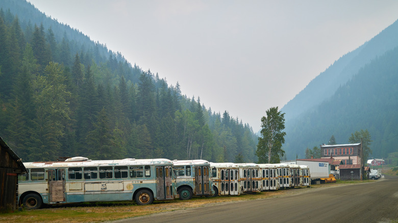 Line of abandoned trollies with mountains Sandon Canada