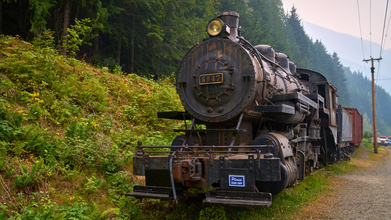 Abandoned train next to trees Sandon Canada
