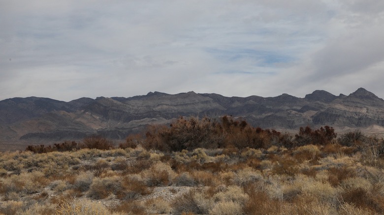Desert National Wildlife Refuge in Nevada