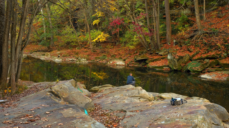 Someone fishing in Ohio's Rocky River in autumn
