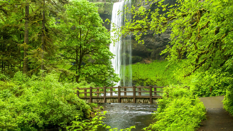 South Silver Falls in Silver Falls State Park