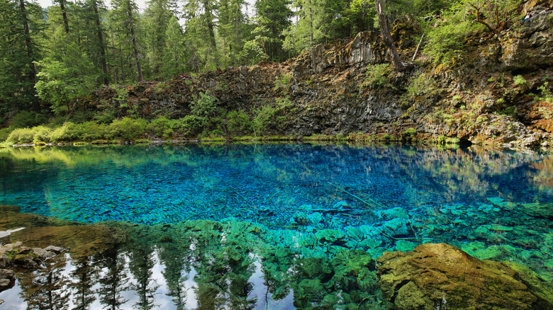 Tamolitch Falls/Blue Pool along McKenzie River Highway in Oregon