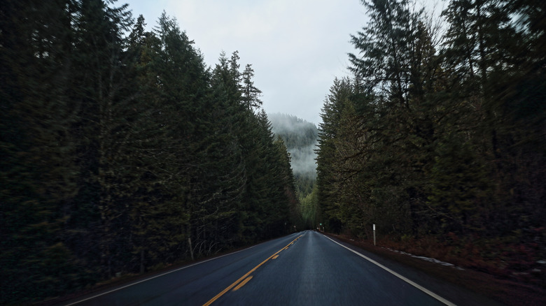 Highway running through Willamette National Forest in Oregon