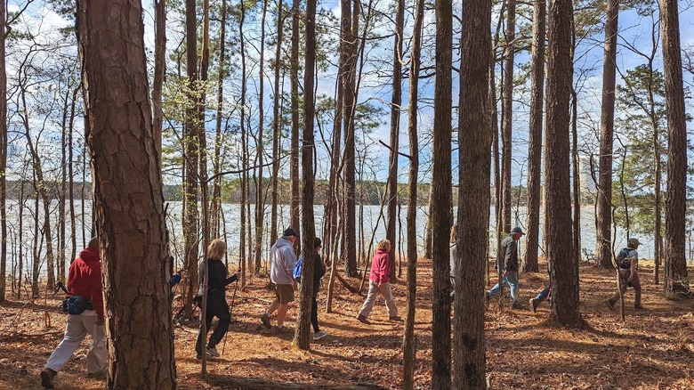 Hikers walking along a trail in Harris Lake County Park in New Hill, North Carolina