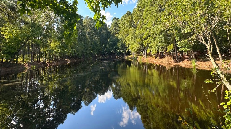 Harris Lake County Park in New Hill, North Carolina