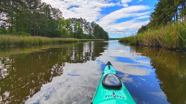 A park visitor kayaking on Harris Lake