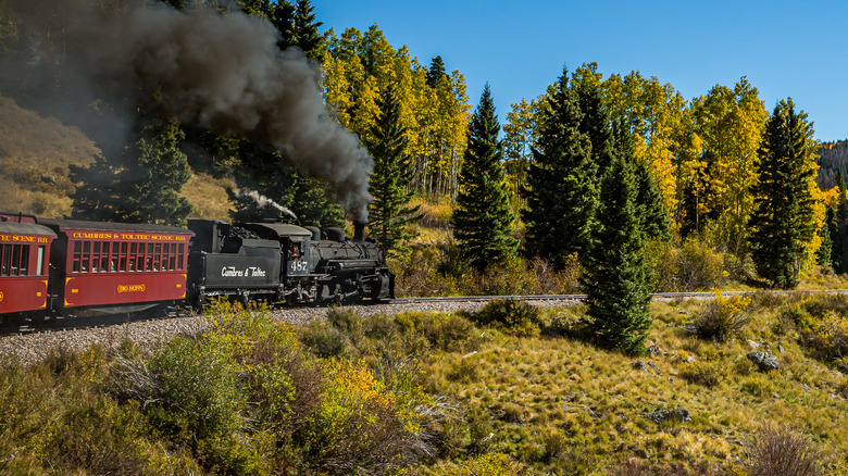 The Cumbres & Toltec steam train passing by trees