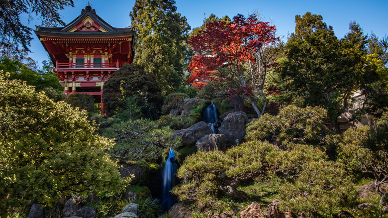 A view of San Francisco's Japanese Tea Garden in the fall
