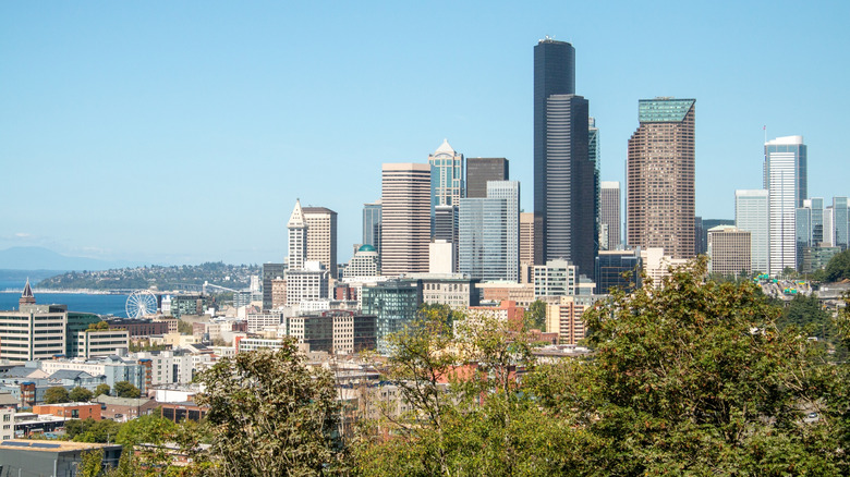 View of the Seattle skyline from Beacon Hill