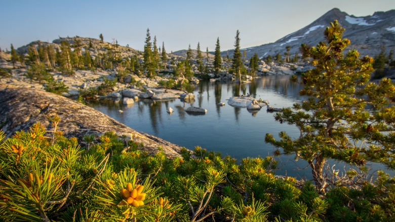 Lake Aloha at sunset in California's Desolation Wilderness