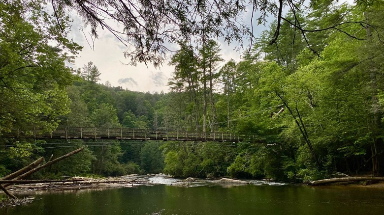 Toccoa River Swinging Bridge in the Aska Adventure Area