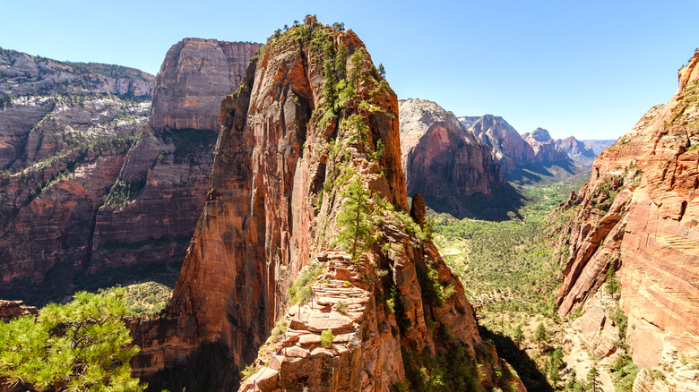 Angels Landing Zion