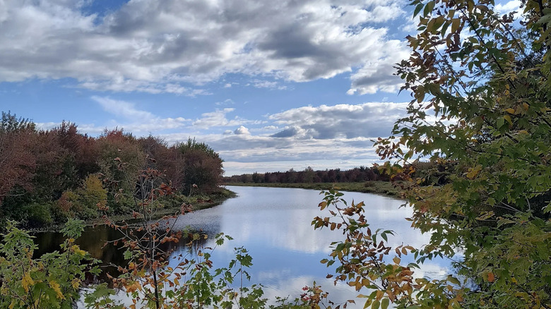 A view of a waterway at Hirundo Wildlife Refuge
