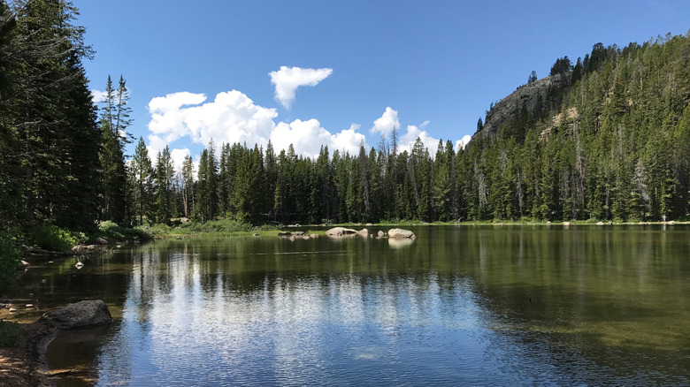 scenic lake surrounded by trees