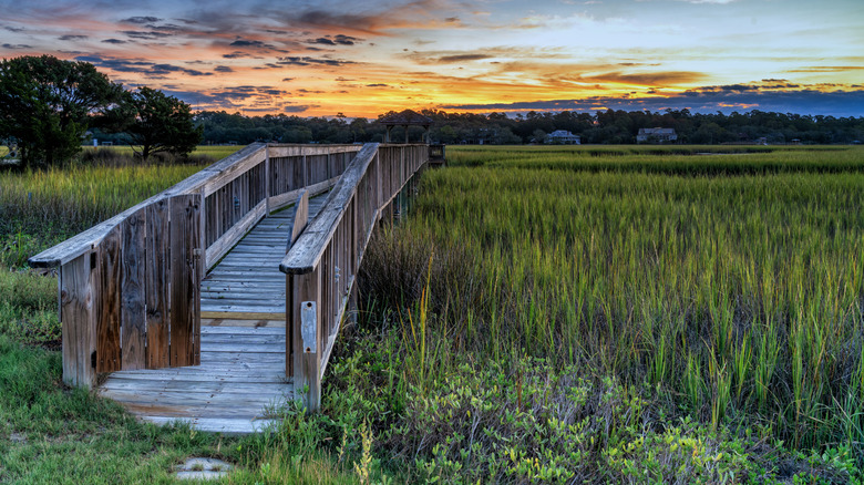 Sunset along South Carolina's Lowcountry