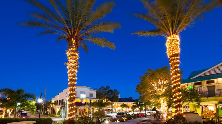 Palm Trees over Downtown Naples