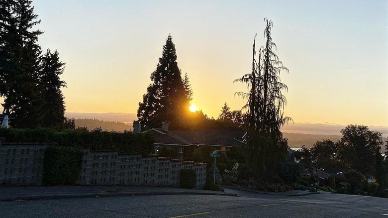 The sun setting behind trees in Wedgewood, Seattle, Washington