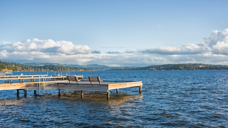 Dock with benches at Medina Beach Park on Lake Washington on summer day.