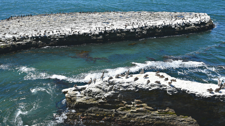 panoramic view of Fern Grotto Beach at Wilder Ranch State Park in Santa Cruz California