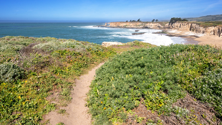 A path leading to Wilder Ranch State Park, CA