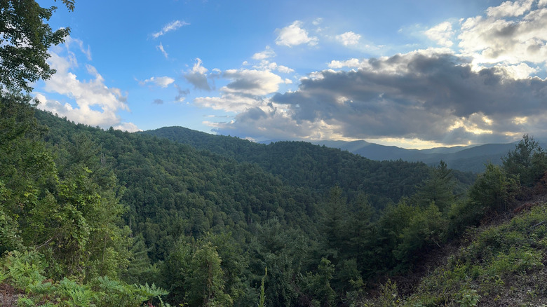 Cataloochee Valley in Great Smoky Mountains National Park, North Carolina