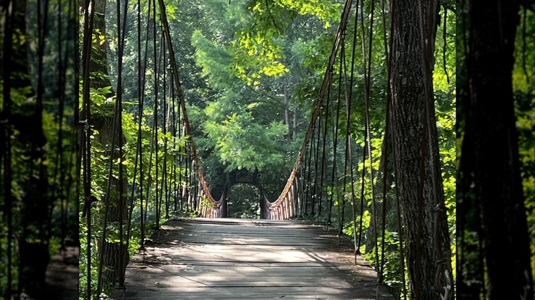 The entrance of the Swinging Pedestrian Bridge at Tishomingo State Park