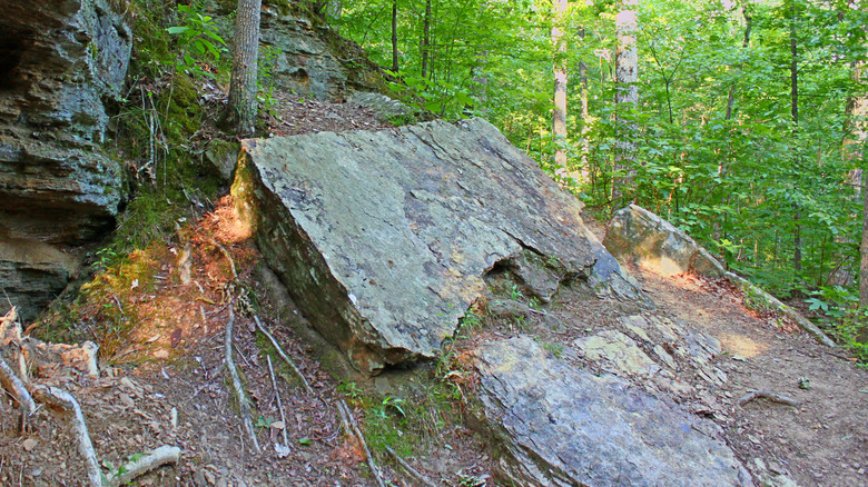 A small rock climbing surface at Tishomingo State Park