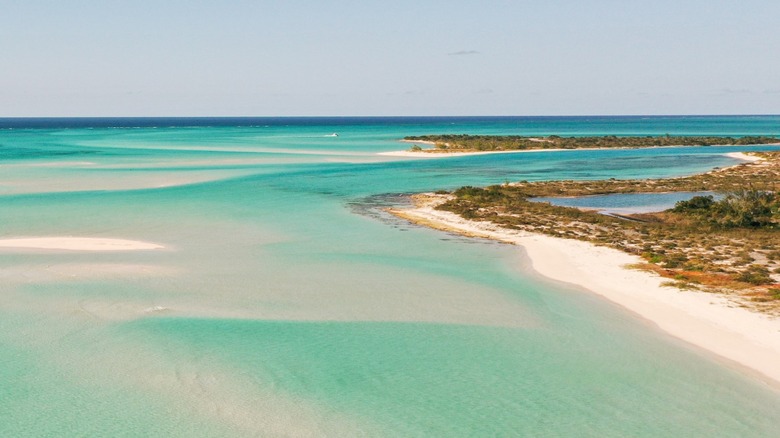 Aerial view of Pine Cay's coast