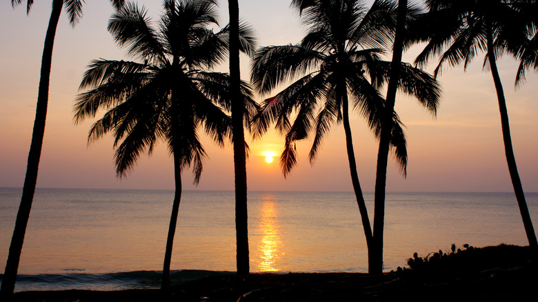 a beautiful golden sunset at Varkala Beach