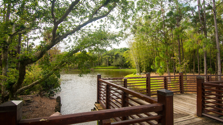 Walkways at Morimaki Musem and Japanese Gardens