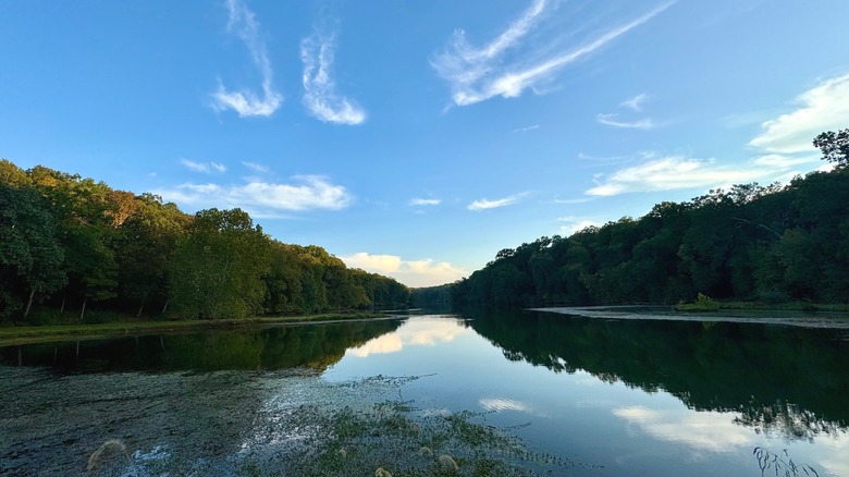 A view from the lake at trees along the shores and a blue sky