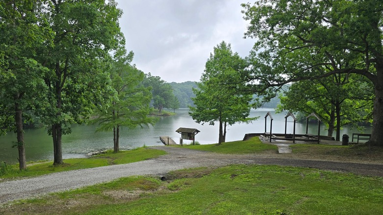 Trees and a small pier on the edge of a large lake