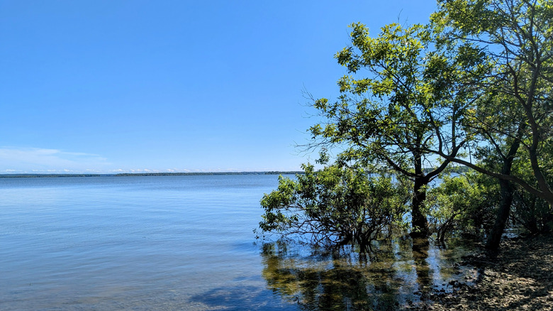Grand Lake in Oklahoma