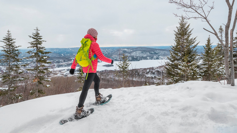 Snowhoeing in winter, Quebec. Mont Tremblant