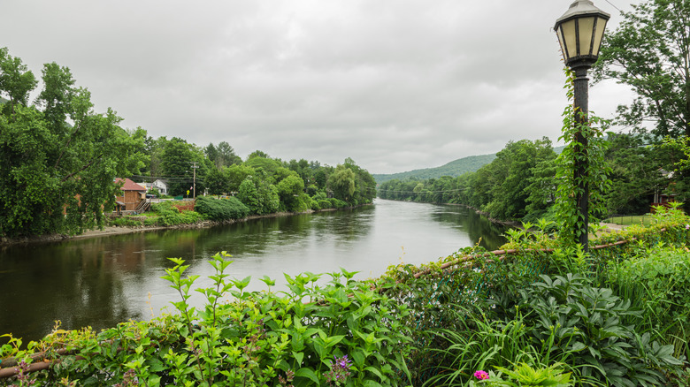 View of Deerfield River on cloudy summer day surrounded by trees and gardens.