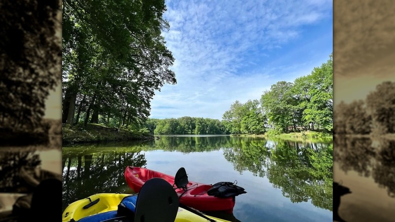 Kayaks in lake in Meeman-Shelby Forest State Park