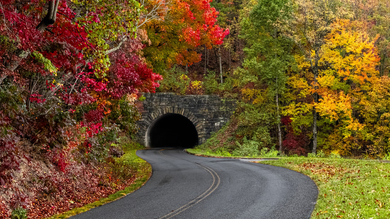 Entrance to the Young Pisgah tunnel on the Blue Ridge Parkway in autumn