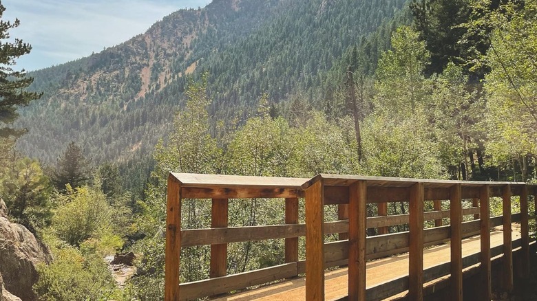 Wooden bridge with forested mountain in the background in Seven Bridges, Colorado