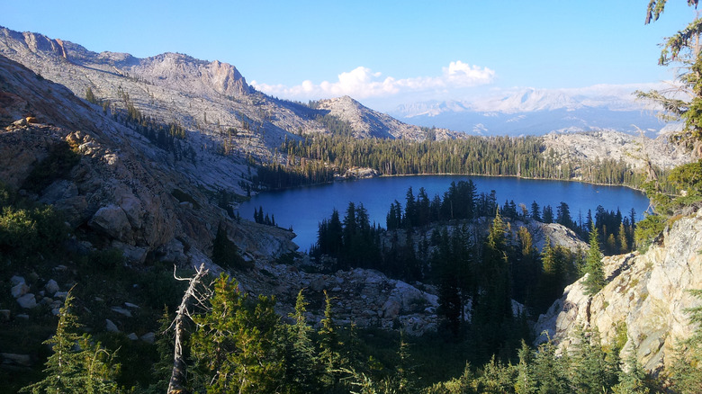 View of May Lake from Mount Hoffmann trail