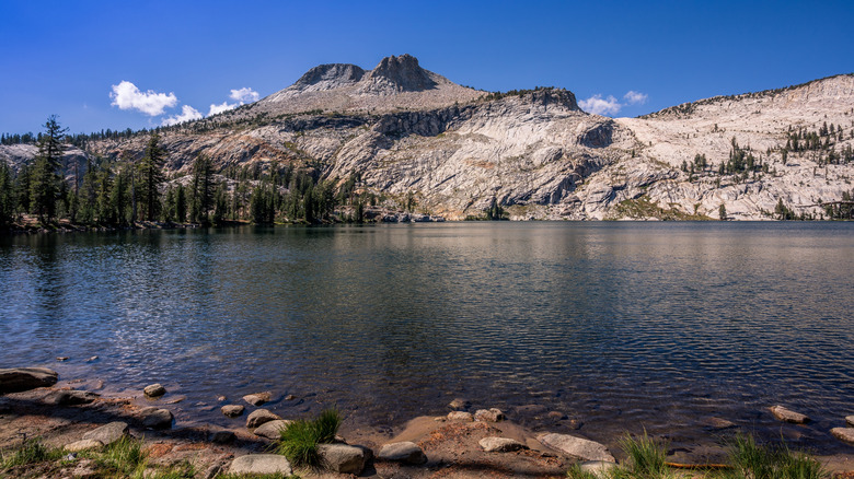 View of May Lake looking towards Mount Hoffmann