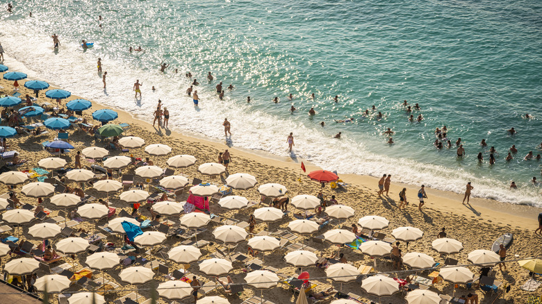 Crowded beach with people in the ocean and rows of beach chairs