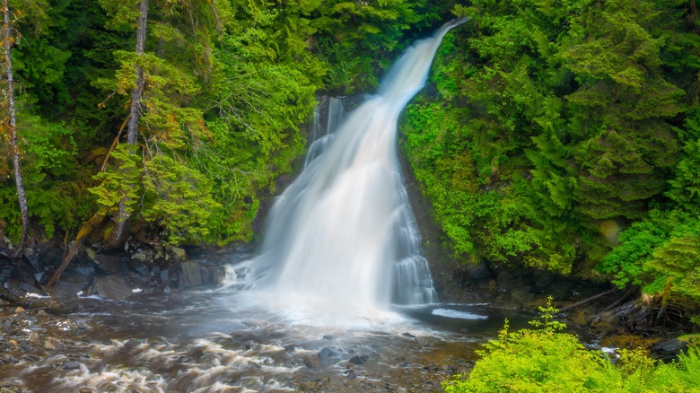 Waterfall in Ketchikan, Alaska, flowing down into a pool and surrounded by trees.