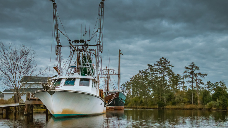 Shrimp trawler docked in coastal North Carolina