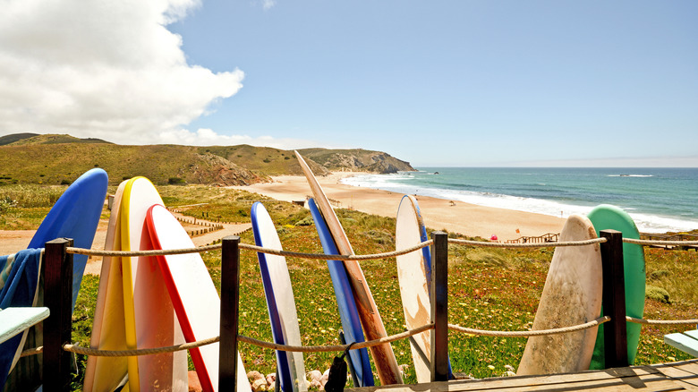 Praia do Amado, beach and surfer spot in the Algarve, Portugal