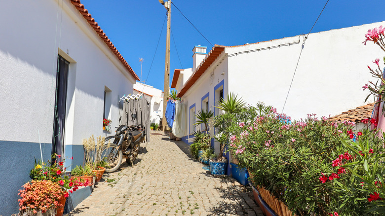 Village street with residential buildings in the town Carrapateira, in the municipality of Aljezur in the District of Faro, Algarve Portugal