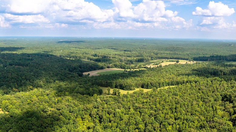 Aerial photo of the Alabama countryside