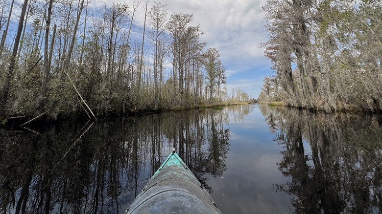 A kayaker enjoys the scenery at the Okefenokee National Wildlife Refuge, North America's largest blackwater swamp habitat and home to thousands of American alligators
