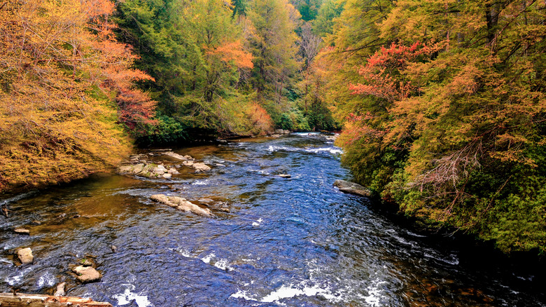 A river flowing past colorful fall foliage